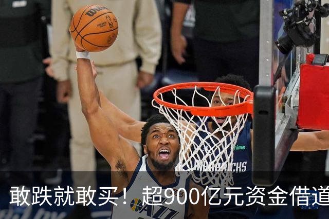 敢跌就敢买！超900亿元资金借道ETF蜂拥进场，除了沪深300，这些主题ETF也被大手笔买入