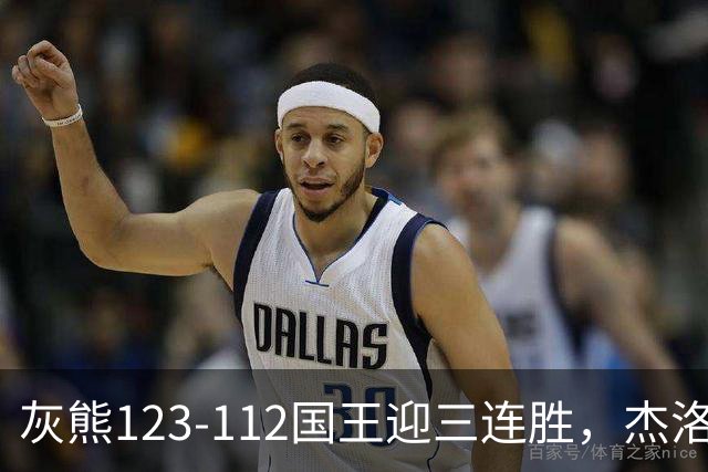 灰熊123-112国王迎三连胜，杰洛姆31+6，拉文空砍37分