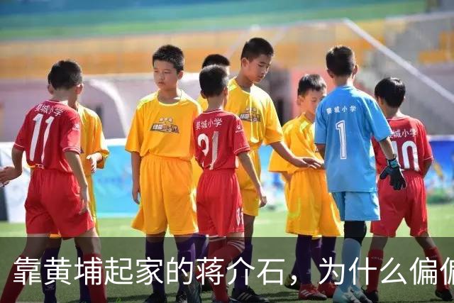 靠黄埔起家的蒋介石，为什么偏偏错过了最优秀的黄埔生——林彪？
