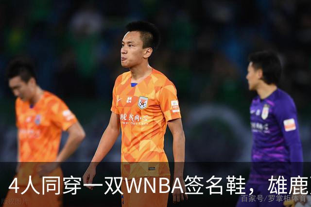 4人同穿一双WNBA签名鞋，雄鹿更衣室的球鞋地图藏不住了