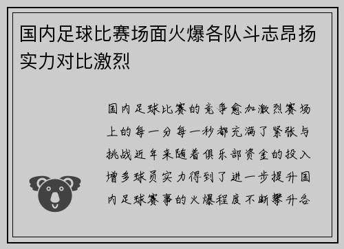 国内足球比赛场面火爆各队斗志昂扬实力对比激烈